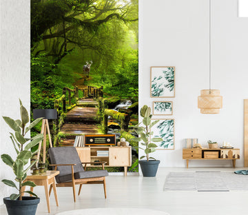 3D Forest Path 1538 Wall Murals