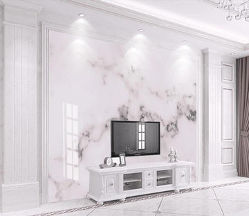 3D Ink Lightly Outline 2167 Wall Murals