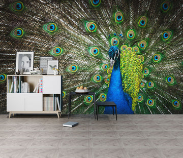 3D Beautiful Peacock 211 Wall Murals