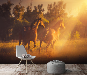 3D Dusk Horse Herd 108 Wall Murals