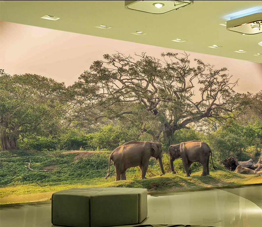 3D Elephant Family 1058 Wall Murals