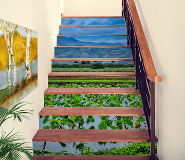 3D Field Paddy Mountains 101104 Kathy Barefield Stair Risers