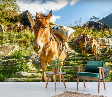 3D Donkey Load 373 Wall Murals