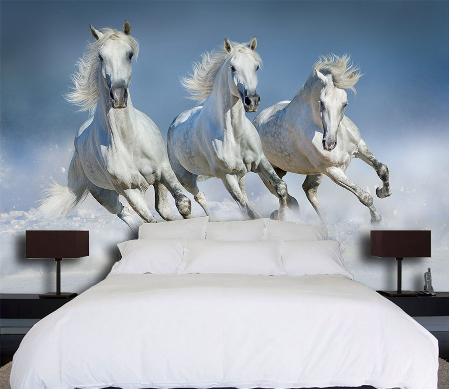 3D White Horse 1061 Wall Murals