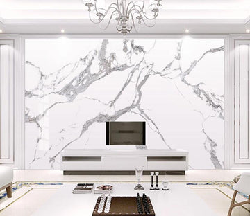 3D Dark Gray Lines Spread 2263 Wall Murals