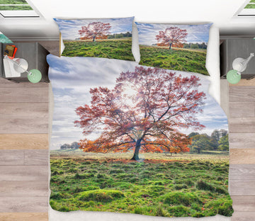 3D Lawn Mangrove 1062 Assaf Frank Bedding Bed Pillowcases Quilt