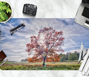 3D Grassland Tree 12438 Assaf Frank Desk Mat