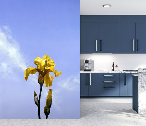 Designer Matthew Holden Bates Wall Mural Collection