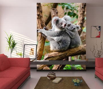 3D Forest Sloth 1088 Wall Murals