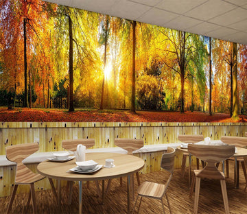 3D Golden Forest 648 Wallpaper AJ Wallpaper 2 