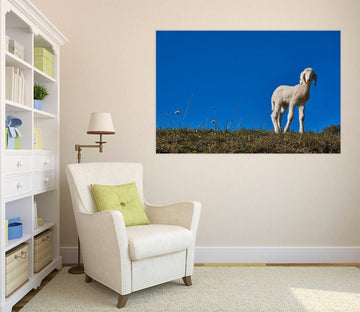 3D Blue Sky Antelope 90 Animal Wall Stickers Wallpaper AJ Wallpaper 2 