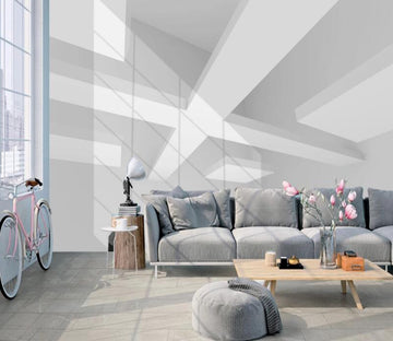 3D Light And Shadow 197 Wall Murals