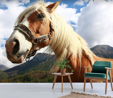 3D Horse Face 670 Wallpaper AJ Wallpaper 