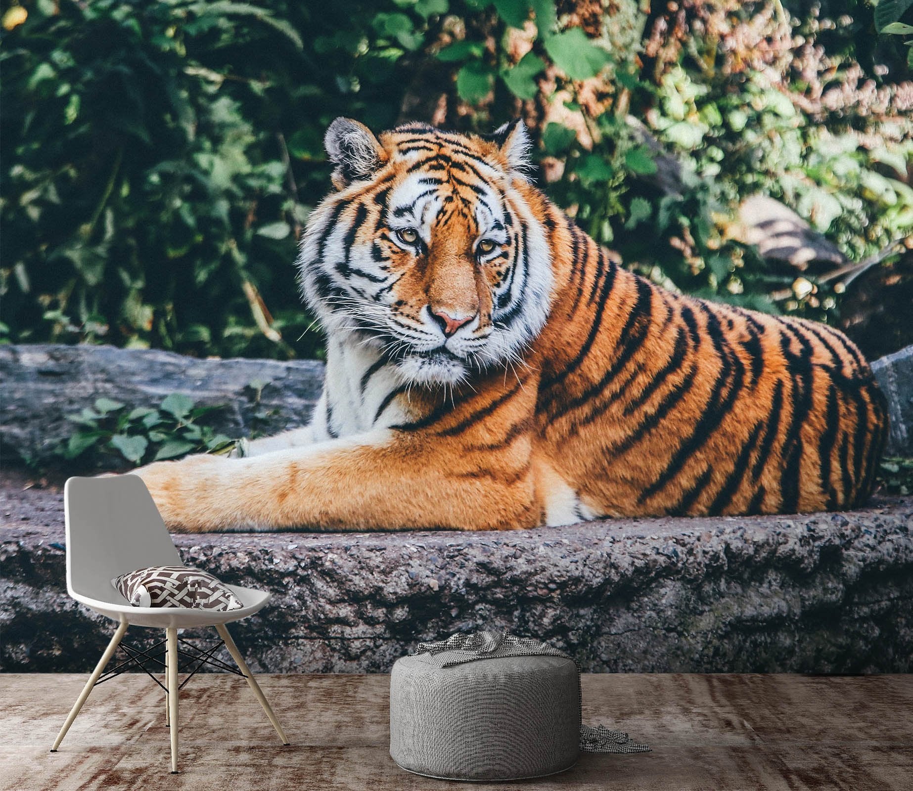 3D Forest Tiger 581 Wallpaper AJ Wallpaper 