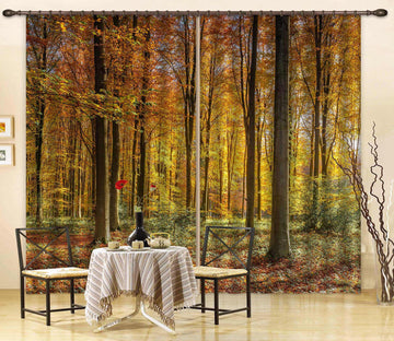 3D Autumn Forest 6576 Assaf Frank Curtain Curtains Drapes