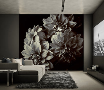 3D Black Ash Flowers 57233 Wall Murals