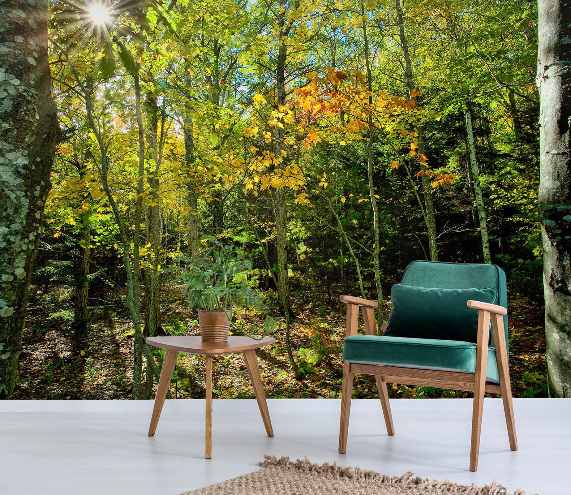 3D Fall In The Forest 62074 Kathy Barefield Wall Mural Wall Murals