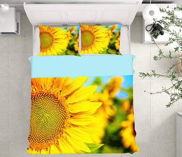 3D Sunflower 67109 Bed Pillowcases Quilt