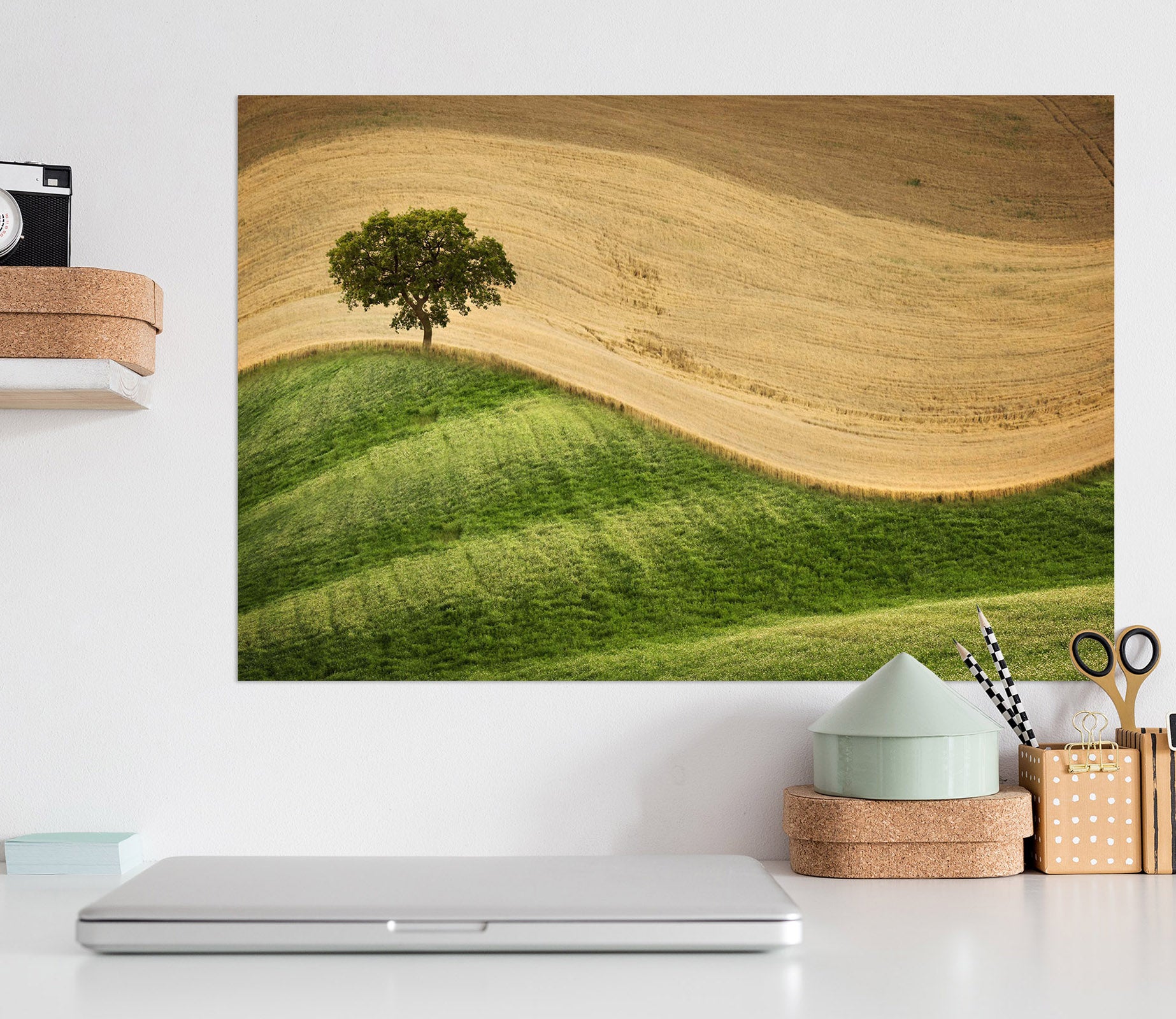 3D Desert Greenery 113 Marco Carmassi Wall Sticker