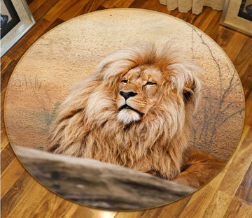 3D Wilderness Lion 012 Animal Round Non Slip Rug Mat Mat AJ Creativity Home 