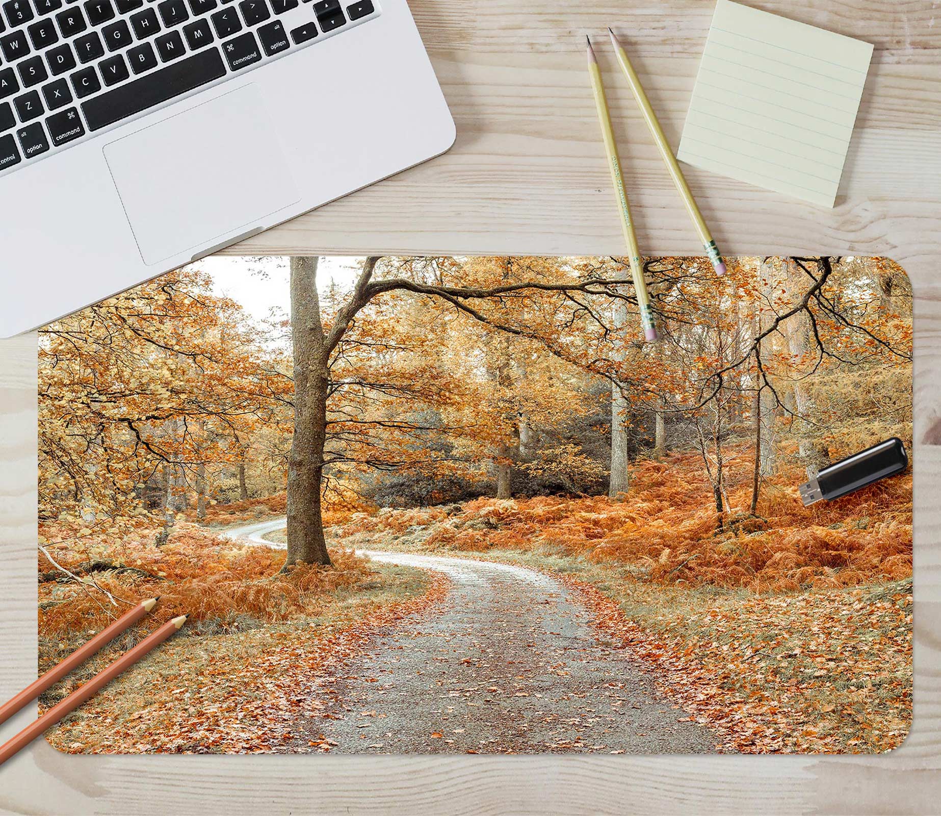 3D Fallen Leaves Path Trees 12444 Assaf Frank Desk Mat