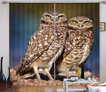 3D Burrowing Owl Buddies 046 Kathy Barefield Curtain Curtains Drapes