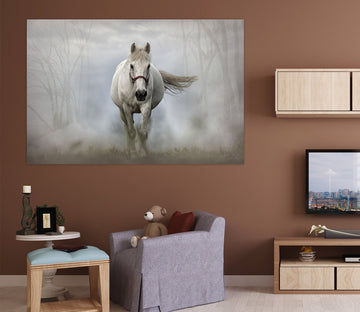 3D Foggy White Horse 80 Animal Wall Stickers Wallpaper AJ Wallpaper 2 