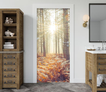 3D Sunlight Trees 5110 Assaf Frank Door Mural