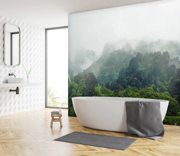3D Natural Forest Fog 55 Wall Murals