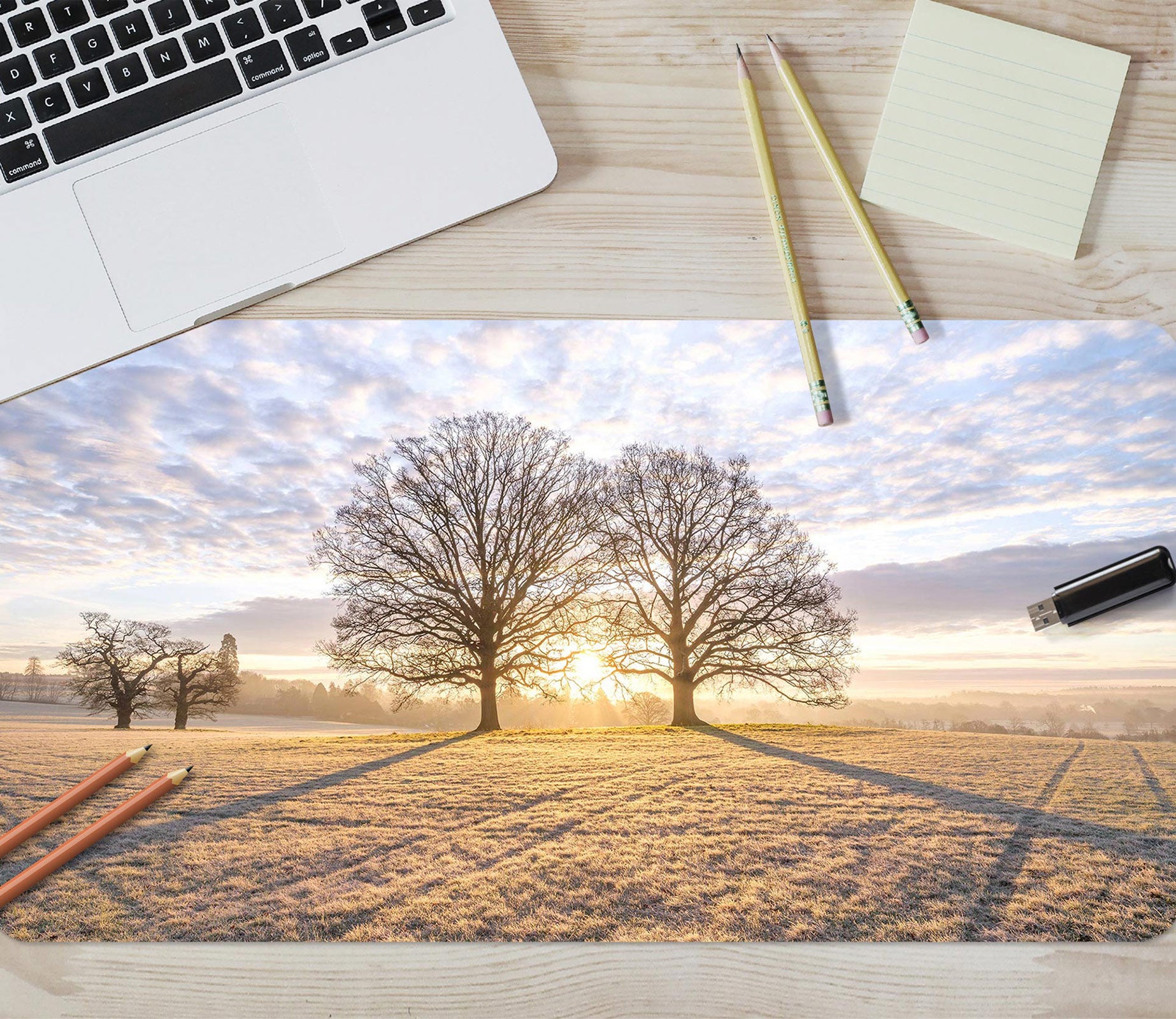 3D Sunshine Tree Shadow Lawn 12456 Assaf Frank Desk Mat