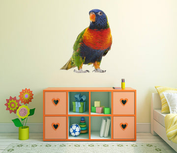 3D Colorful Parrot 162 Animals Wall Stickers Wallpaper AJ Wallpaper 
