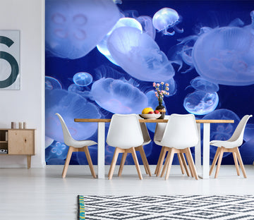 3D Blue Jellyfish 429 Wall Murals