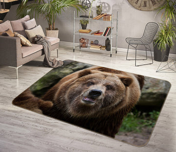3D Fat Bear 063 Animal Non Slip Rug Mat
