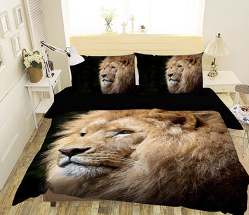 3D Fluffy Lion Head 083 Bed Pillowcases Quilt
