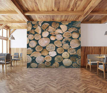 3D Color Room 1484 Wall Murals