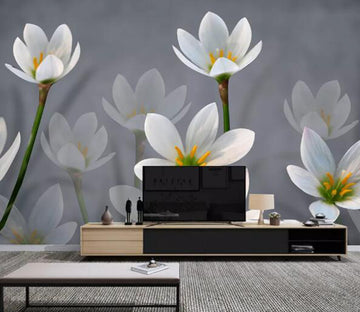 3D Small White Flowers WC1364 Wall Murals
