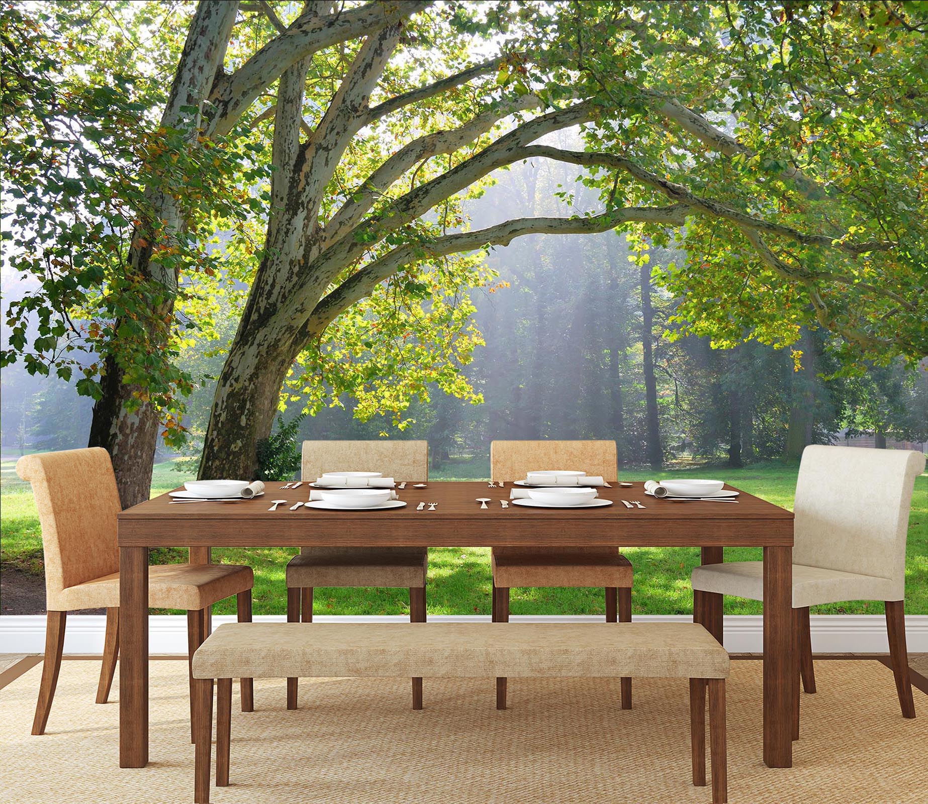 3D Park Tree 142 Wall Murals