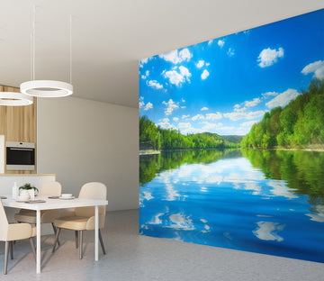 3D Sky Tree Reflection 57090 Wall Murals
