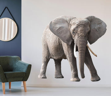 3D Elephant's Ear 144 Animals Wall Stickers Wallpaper AJ Wallpaper 