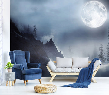 3D Moon Night View 030 Wall Murals