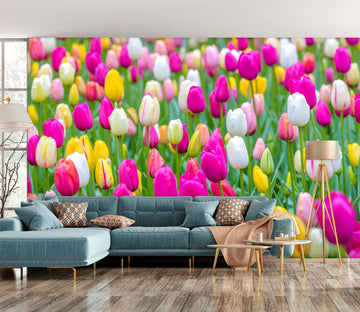 3D Tulip Garden 6225 Assaf Frank Wall Mural Wall Murals