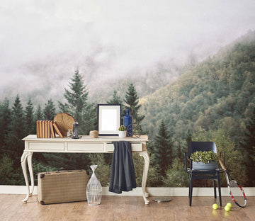 3D Morning Fog Forest 112 Wall Murals