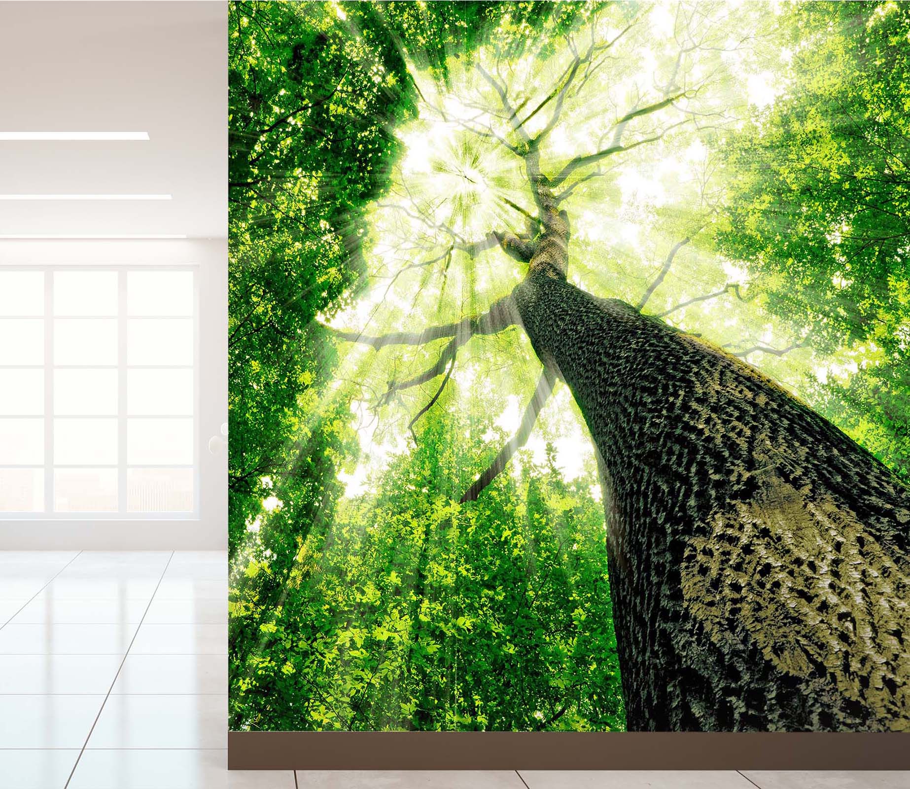 3D Landscape Tree 50 Wall Murals Wallpaper AJ Wallpaper 