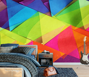 3D Colored Triangle 71088 Shandra Smith Wall Mural Wall Murals
