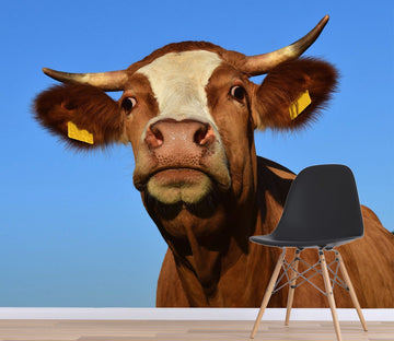 3D Blue Sky Ox 130 Wallpaper AJ Wallpaper 