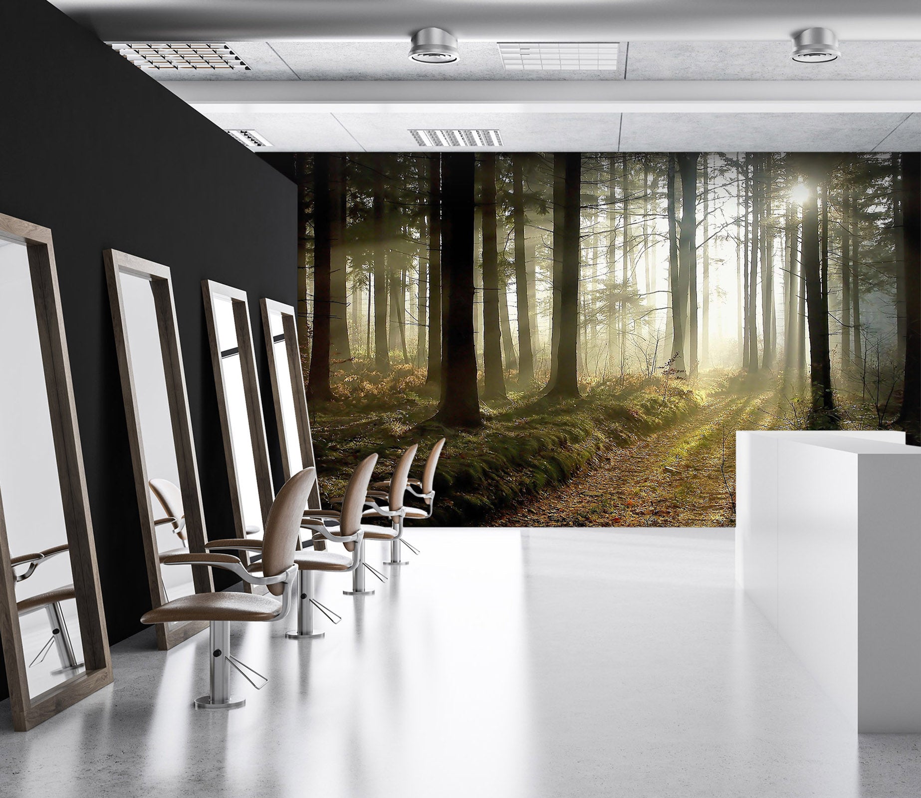 3D Woods Sunshine 376 Wall Murals