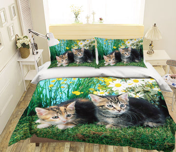 3D Cat Chrysanthemum 1902 Bed Pillowcases Quilt