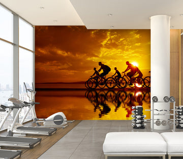3D Morning Bike Ride 220 Wall Murals
