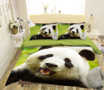 3D Giant Panda 089 Bed Pillowcases Quilt