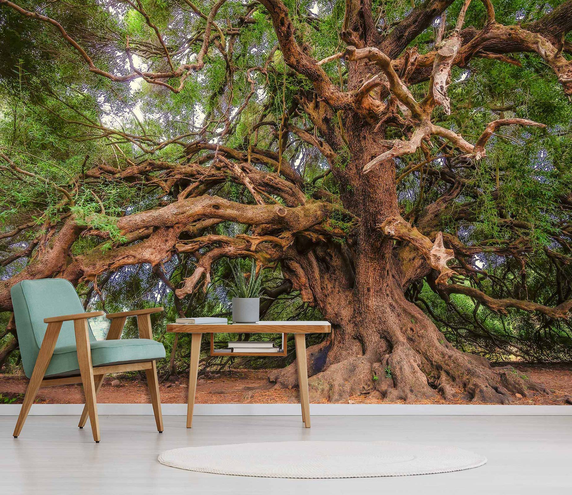 3D Big Old Tree 10878 Alius Herb Wall Mural Wall Murals